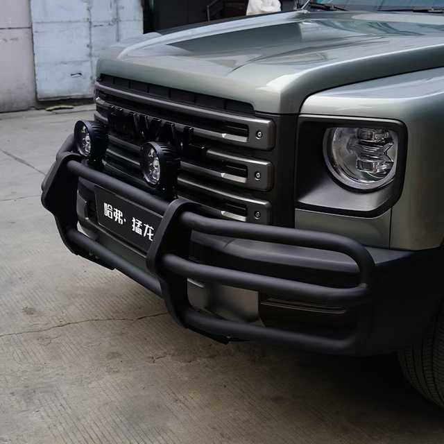 Small Bull Bar Bull Guard for Haval Raptor