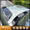 Hood Decorative Panel for Rox01