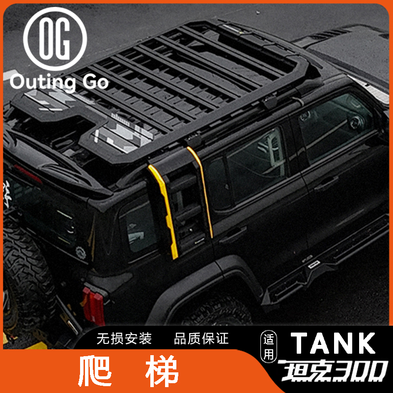 Side Ladder for Tank 300