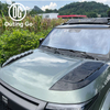Hood Decorative Panel for Rox01