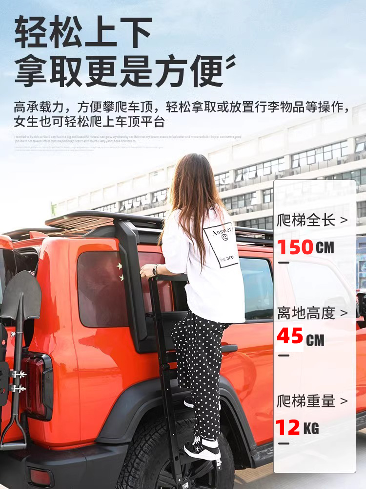 Car Roof Rack for Tank 300