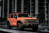 Stalker BodyKit for Tank 300 