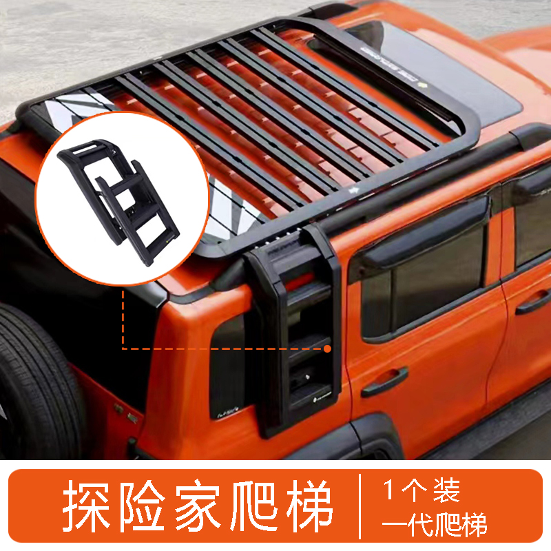 Side Ladder for Tank 300