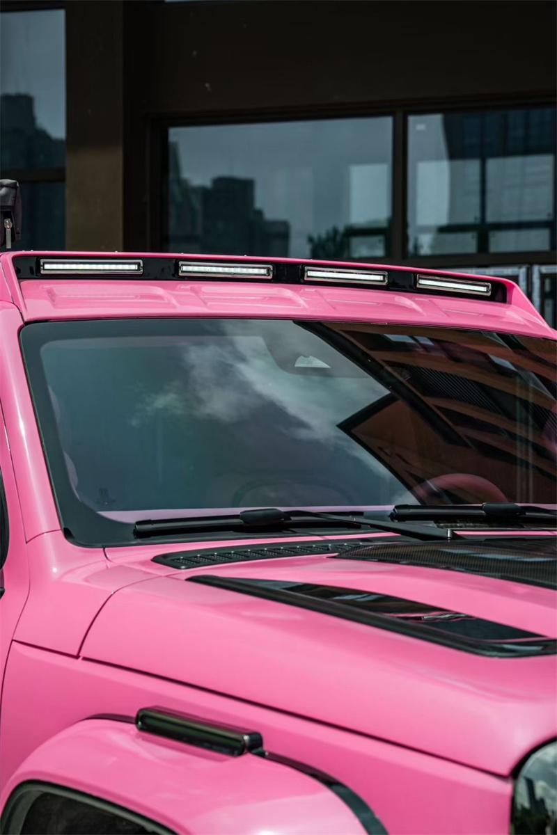 Exquisite BOY BodyKit for Tank 300 