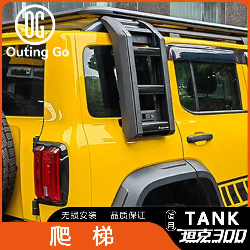 Side Ladder for Tank 300