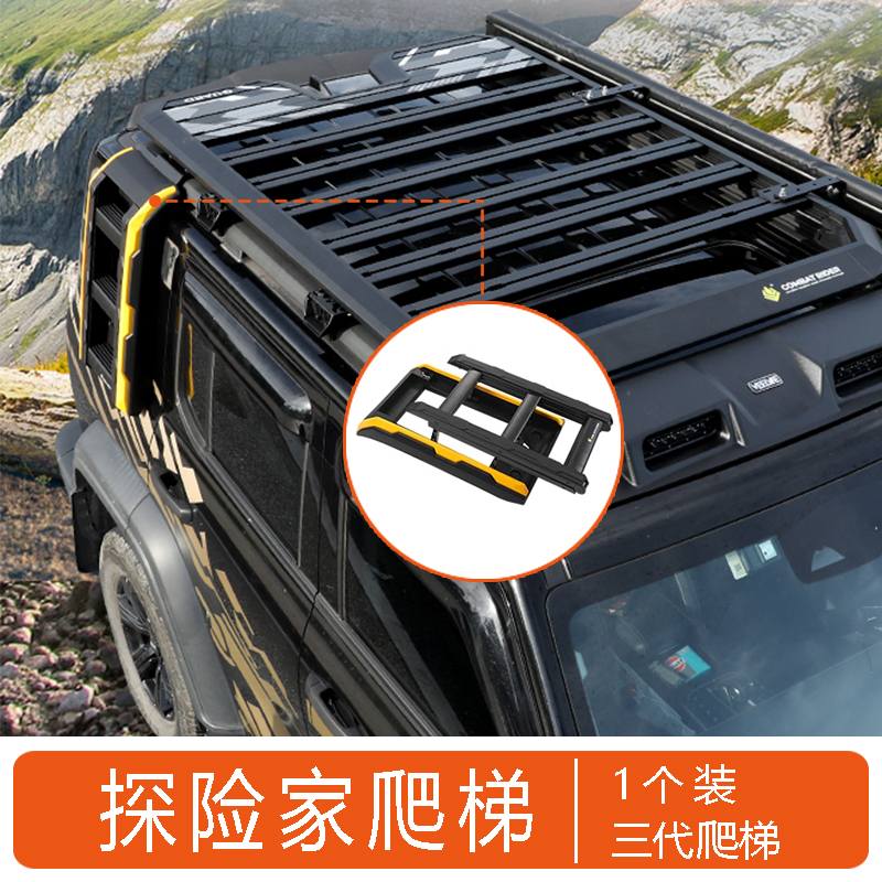 Side Ladder for Tank 300