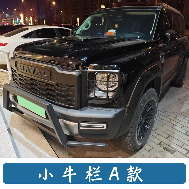 Small Bull Bar Bull Guard Bumper for Haval Raptor