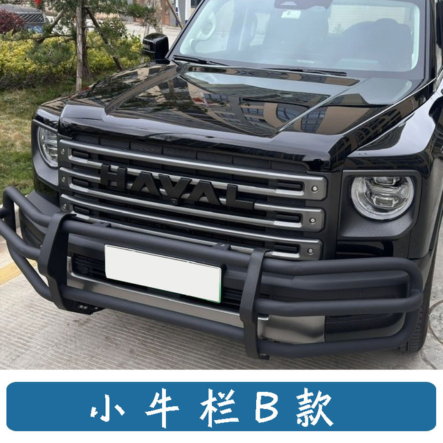 Small Bull Bar Bull Guard for Haval Raptor