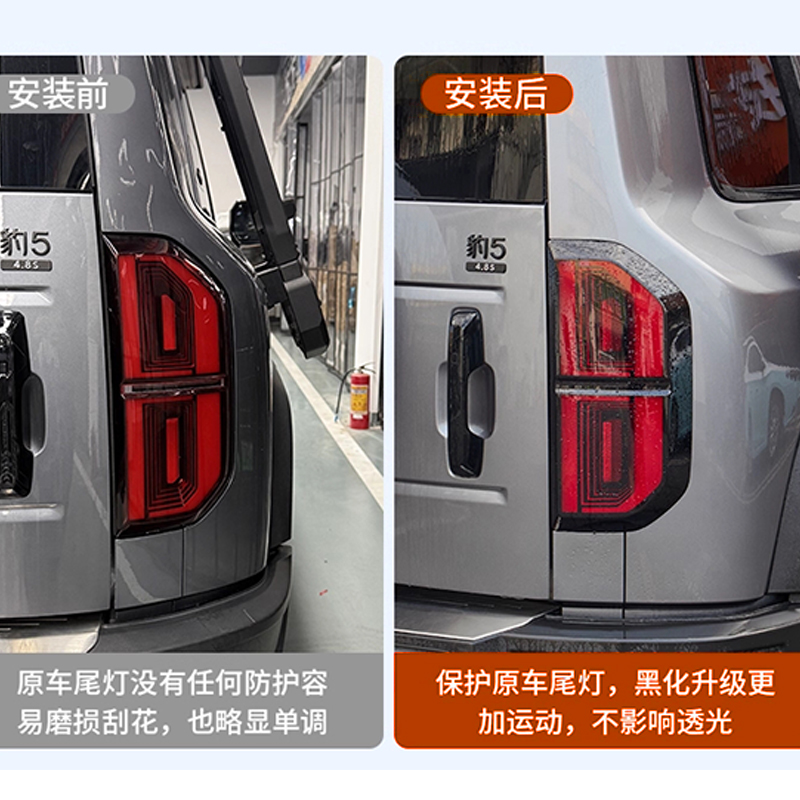 For BYD Leopard 5 Taillight Cover Blackened